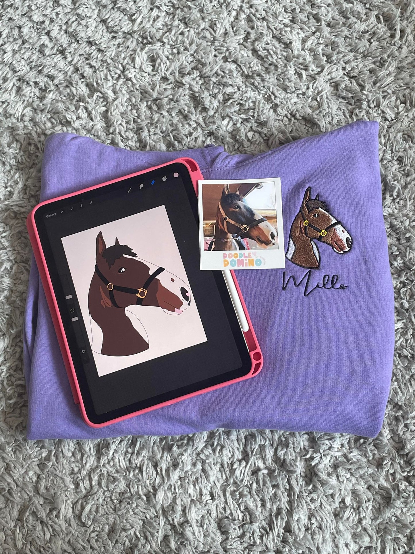Horse Embroidered Illustration Hoodie/Jumper