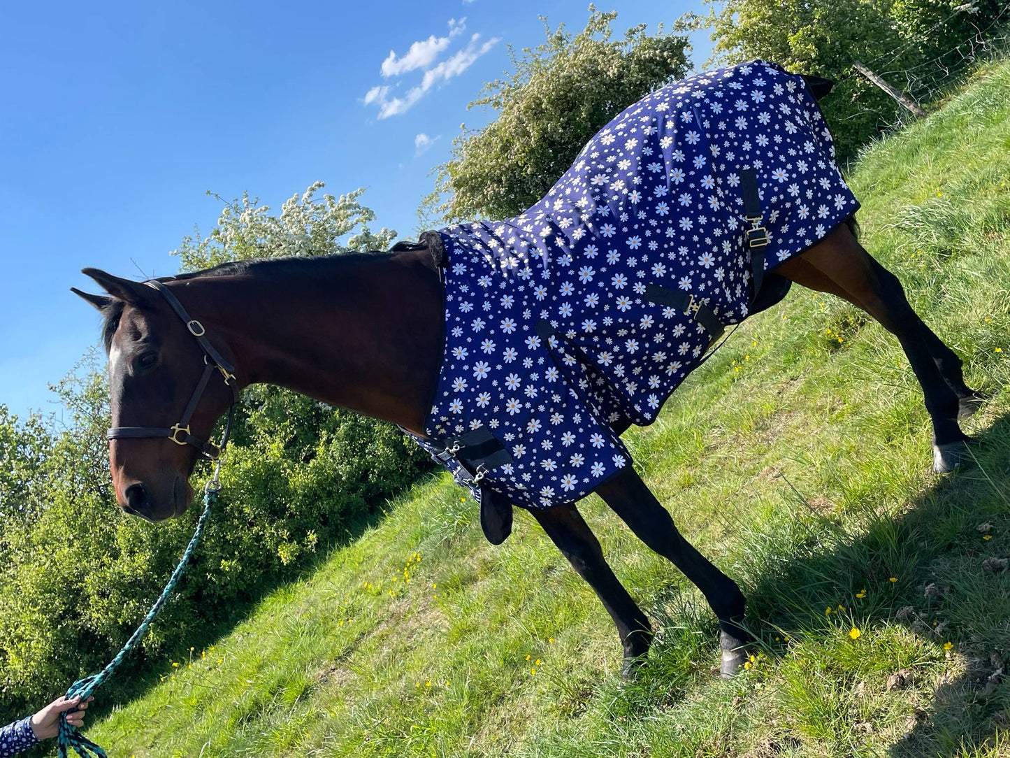 Design Your Own Stable Rug