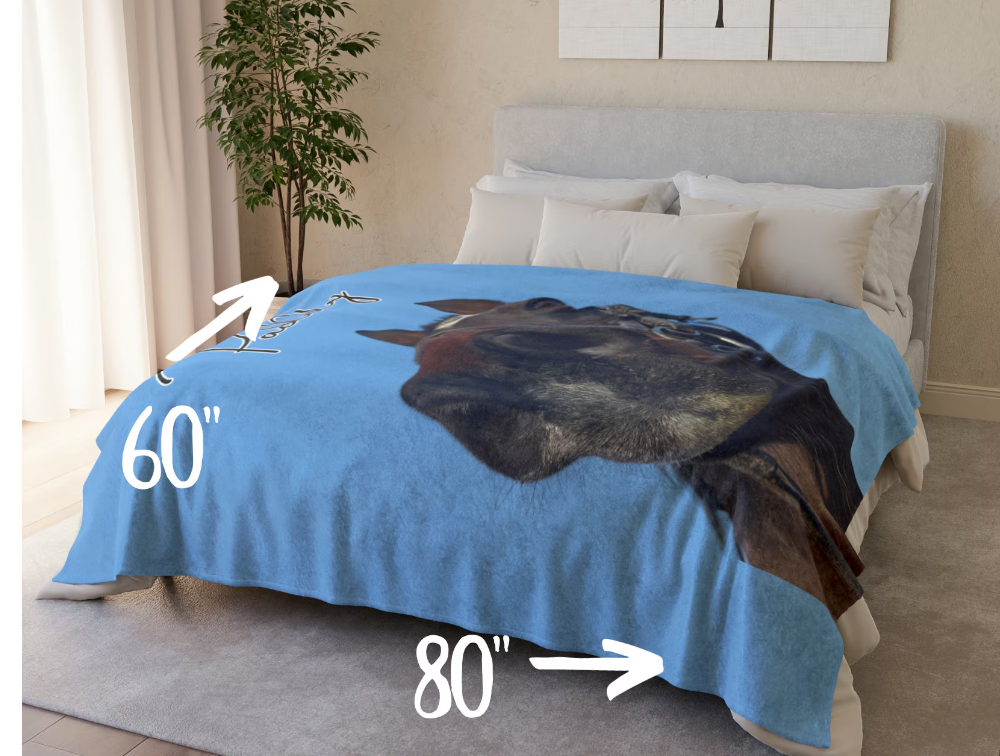 Personalised Horse Blanket