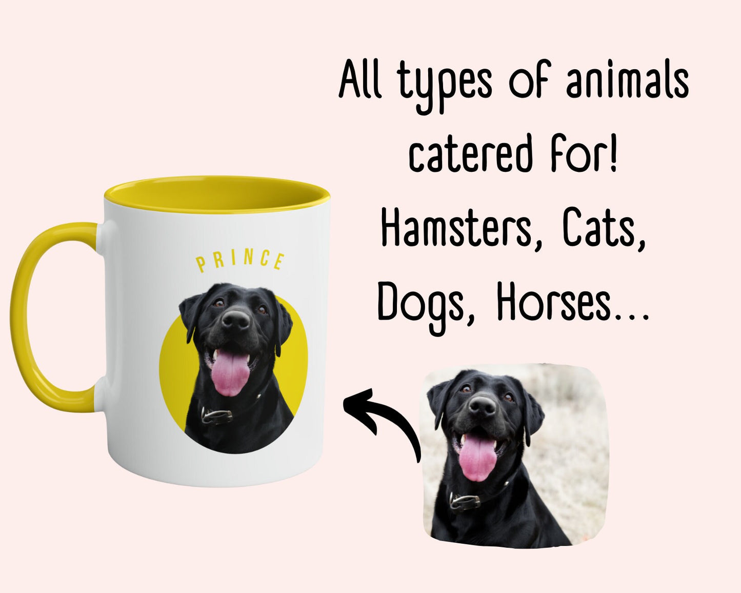 Personalised Colourful Horse Mug