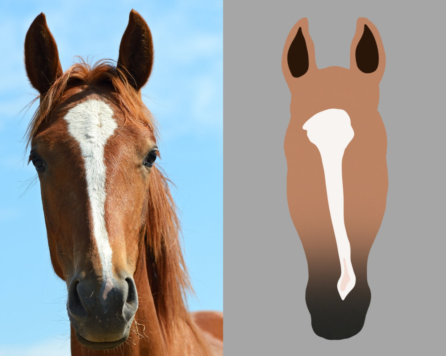 Custom Horse Silhouette Print