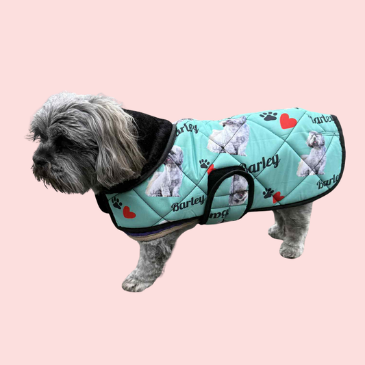 Design Your Own Dog Coat