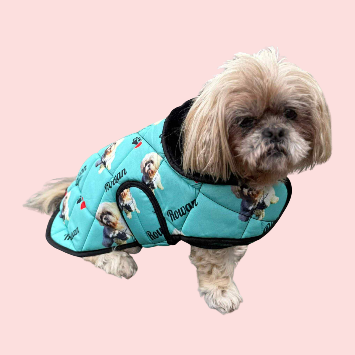 Design Your Own Dog Coat