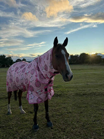 Disco Cowboy Rug