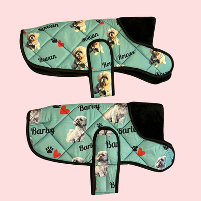 Design Your Own Dog Coat