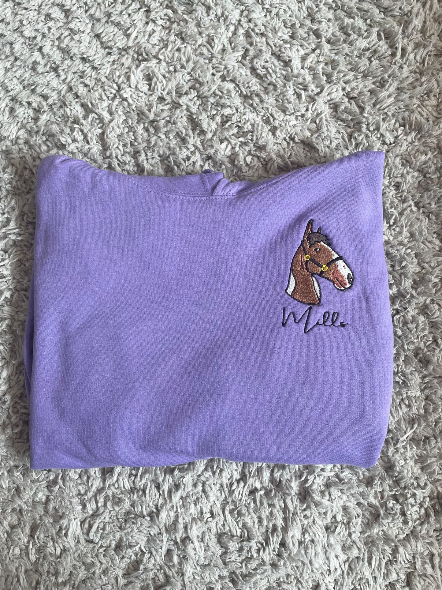 Horse Embroidered Illustration Hoodie/Jumper