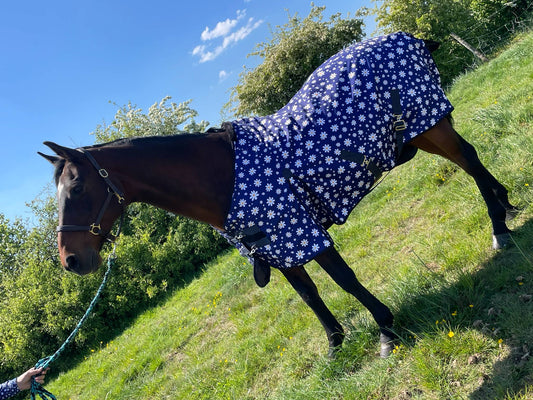 Design Your Own Turnout Rug