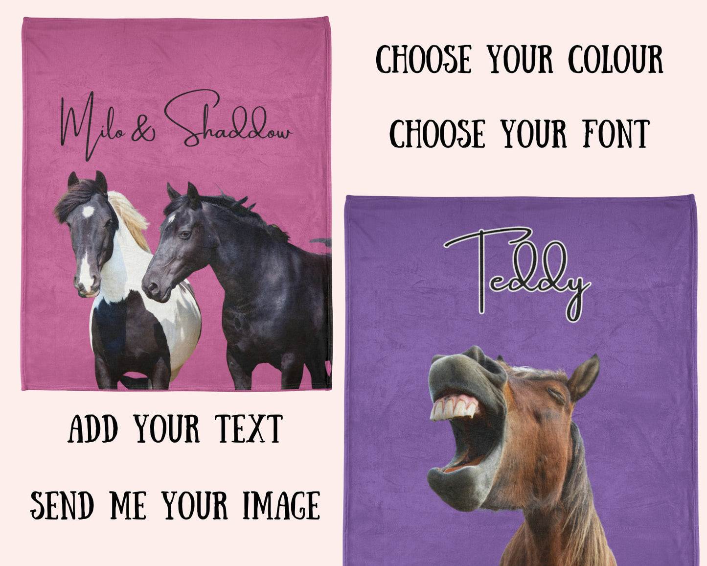 Personalised Horse Blanket